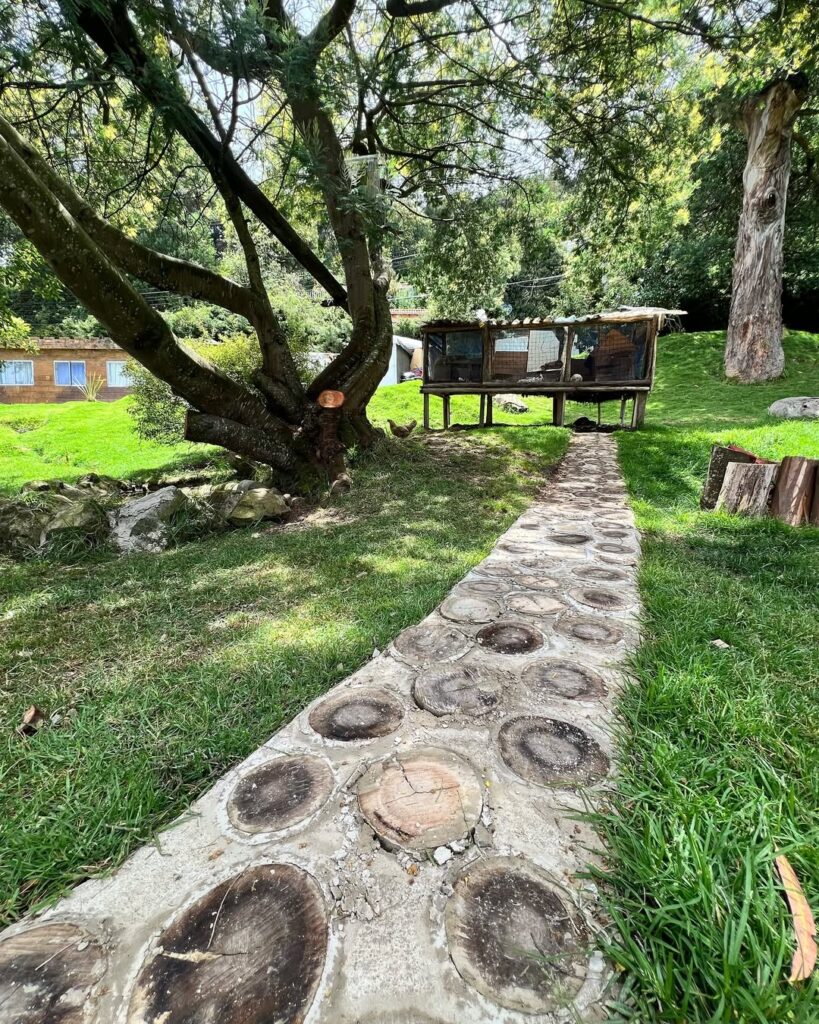 SaveClip.App_548521829_18328628032227492_5956923823761021478_n