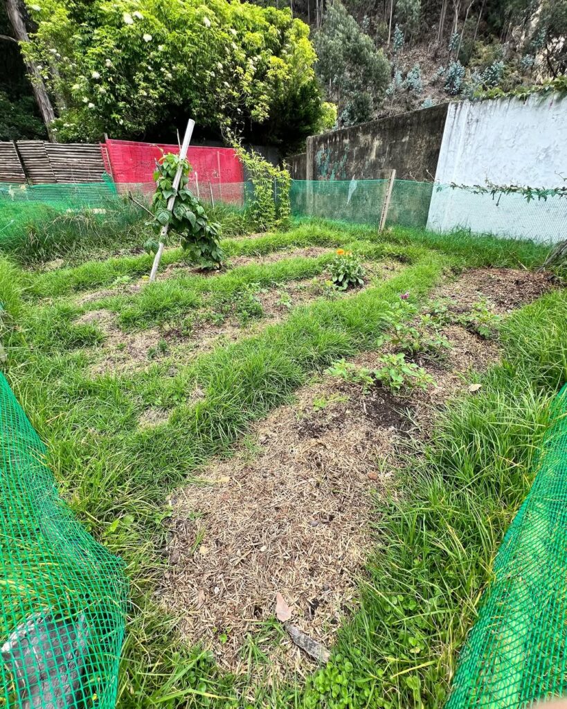 SaveClip.App_549212680_18328628068227492_7685256501931149164_n