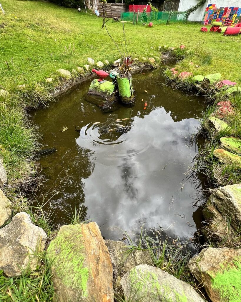 SaveClip.App_549398227_18328628083227492_3517776531149838947_n